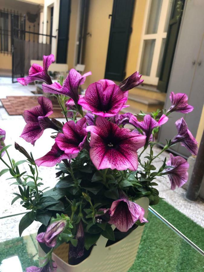 Appartement Le palme à Bologne Extérieur photo